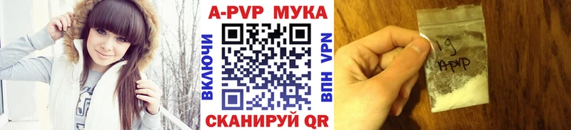 A PVP СК КРИС  Гурьевск 